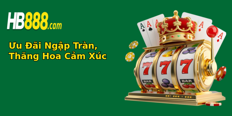 Ưu Đãi Ngập Tràn, Thăng Hoa Cảm Xúc